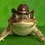 Sherrifffroggy