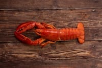 Shellfish