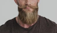 Grooming Accessories