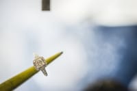 Jewellery Cleaning and Care