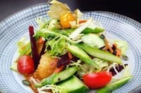 Vegetarian & Vegan Special Dishes