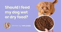 Dog Food