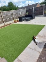 Artificial Grass
