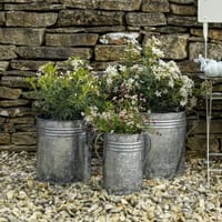 Planters and Plant Pots