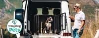 Pet Accessories
