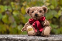Traditional Teddy Bears
