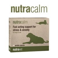 Calming and Anxiety Support