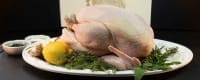 Meat and Poultry