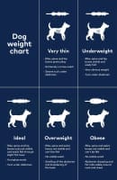 Canned Dog Food