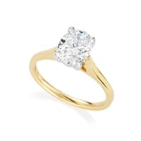 Wedding Rings and Engagement Rings