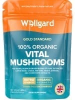 Antioxidant Supplements