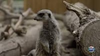 Tickets to Zoological Park