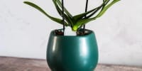Indoor Planters