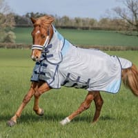 Horse Rugs