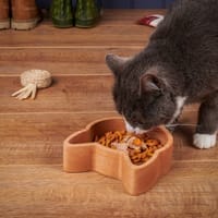 Eco-Friendly Cat Toys