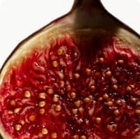 Essential Oil Blends