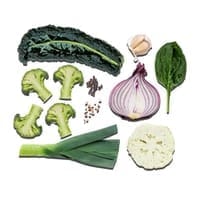 Vitamins and Minerals