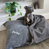 Pet Bean Bags