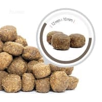 Dog Food