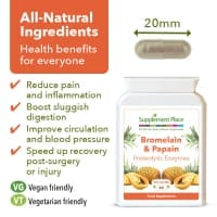Vegan and Vegetarian Options
