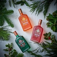 Gin Experience Vouchers