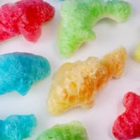 Freeze-Dried Fruits and Snacks
