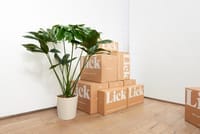 Eco-Friendly Products