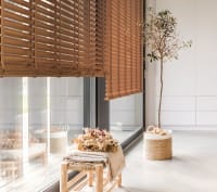 Venetian Blinds