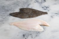 Frozen Seafood