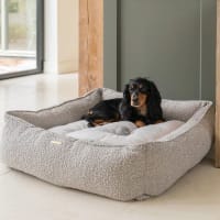 Stylish Dog Beds