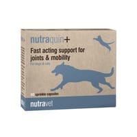 Joint Supplements for Dogs and Cats