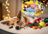 Subscription Boxes