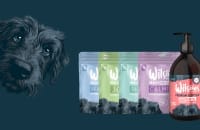 Pet Supplements
