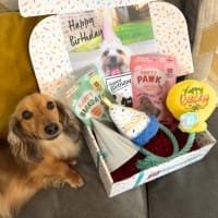 Birthday Boxes