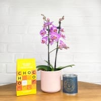 Gift Sets