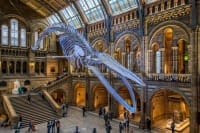 Museums