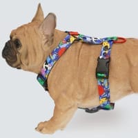 Dog Harnesses
