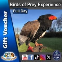 Photography Workshops