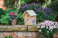 Outdoor and Gardening Accessories