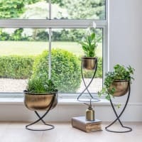 Indoor and Outdoor Planters