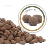 Cat Food