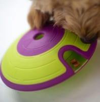 Interactive Pet Toys
