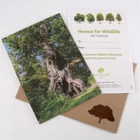 Tree Gifts