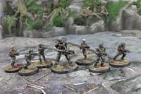 Wargames miniatures