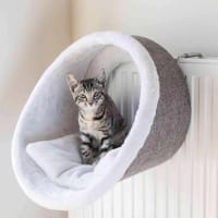 Fancy Cat Trees