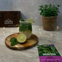 Spirits and Liqueurs