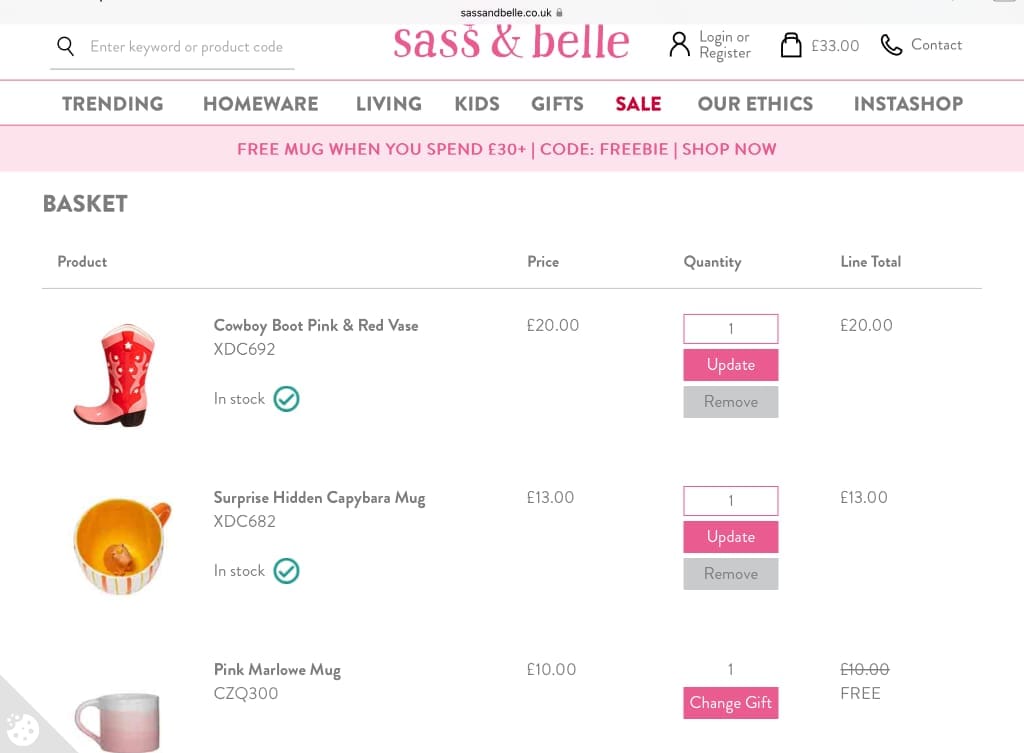 Screenshot of the Sass & Belle discount code working