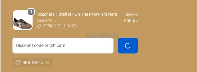 Screenshot of the Brantano discount code working