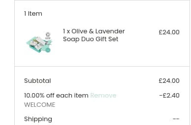 Screenshot of the Odylique discount code working