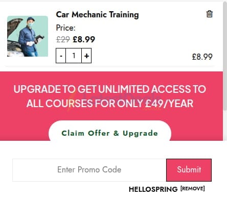 Screenshot of the One Education discount code working
